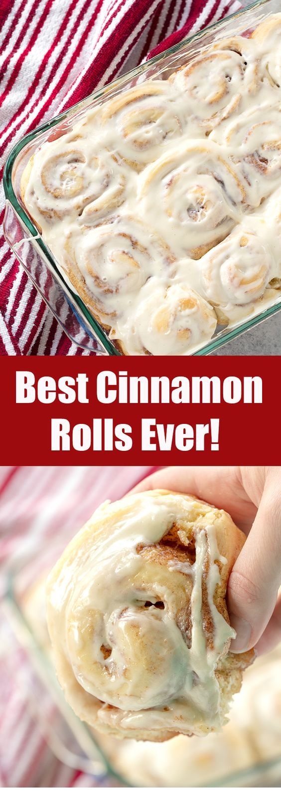 The Best Homemade Cinnamon Rolls Ever!