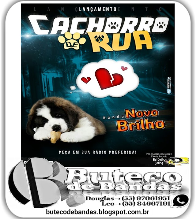 LANÇAMENTO NOVO BRILHO- CACHORRO DE RUA