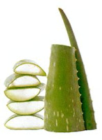 Aloes i produkty aloe vera firmy Forever Living Products