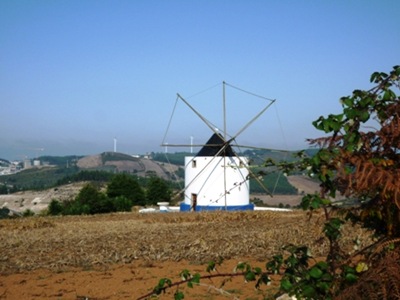 P1030687