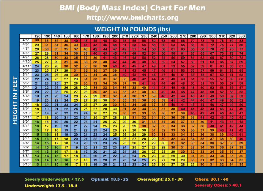 body fat percentage chart pdf