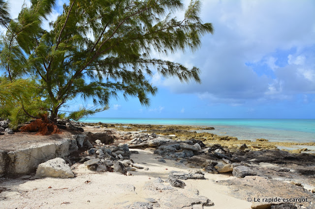 long island bahamas