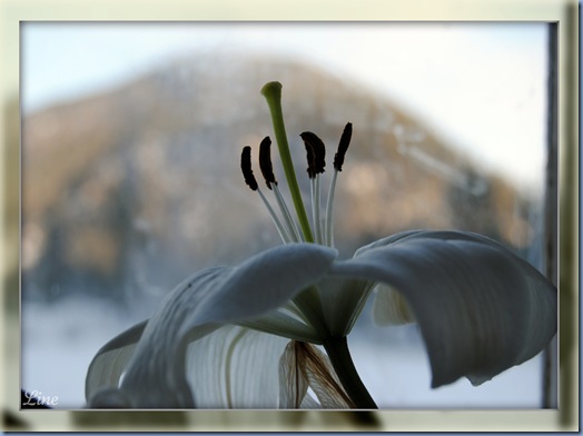 Februar og mars 2010 248 b