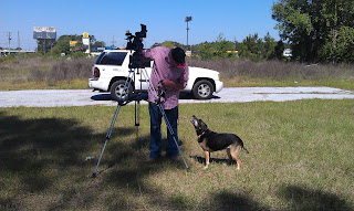 Veterans and Their Pets interview with Nicholas Moron of First Coast News, Daisy, Harold