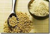 fenugreek seeds powder