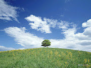 Blue sky clouds wallpaper, blue sky wallpaper, blue sky clouds background, . (blue sky clouds wallpaper )