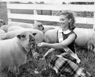 Alice in Dairyland With Sheep