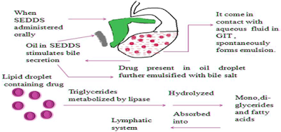 Review on Self Emulsifying Drug Delivery system 