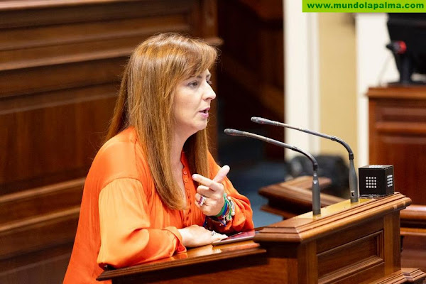 Nieves Lady Barreto: “Los plataneros no pueden seguir esperando por el Gobierno de Canarias”