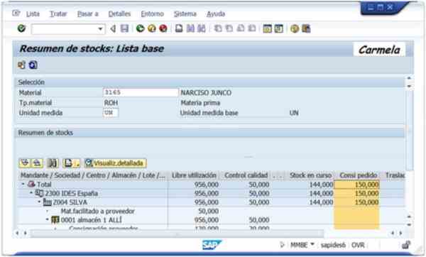 Transacción MMBE: Resumen de Stocks - Consultoria-SAP