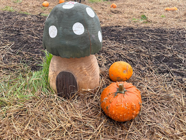 pumpkin patch uk