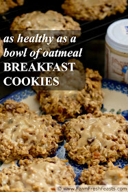 image of 'as healthy as a bowl of oatmeal' breakfast cookies