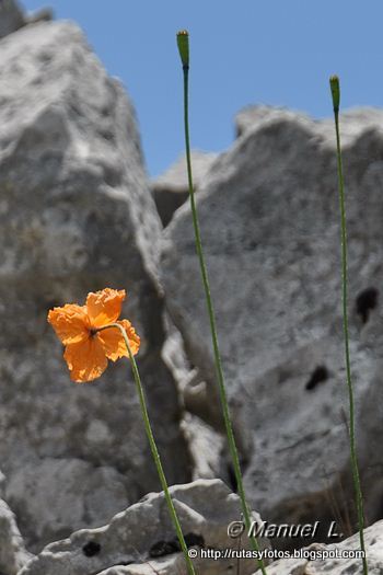 Benaocaz - Navazo Alto - Casa del Dornajo - El Encinarejo