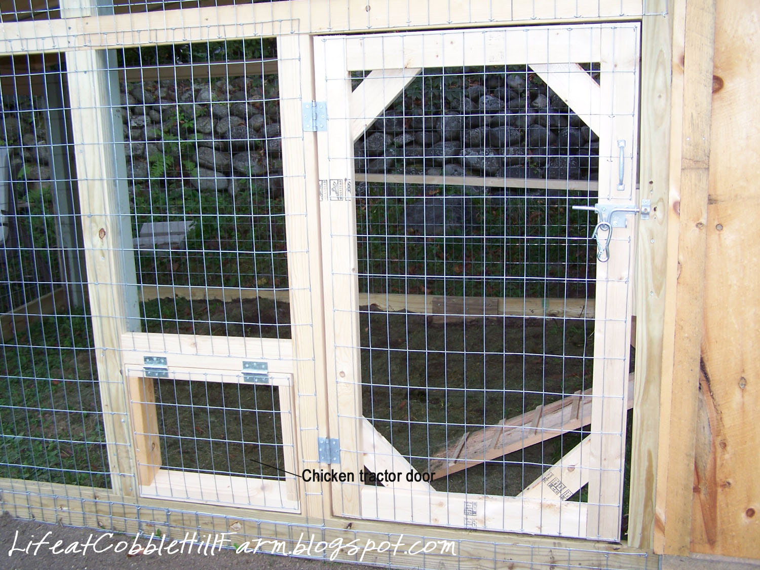 Chicken Coop 101: Thirteen Lessons Learned | Life At 