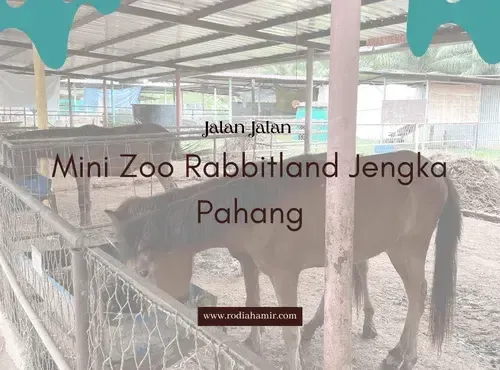 Mini-Zoo-Rabbitland-Jengka-Pahang