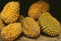 Kontes Durian Unggul Hadir di Festival Bumi Khatulistiwa - Borneo Fan