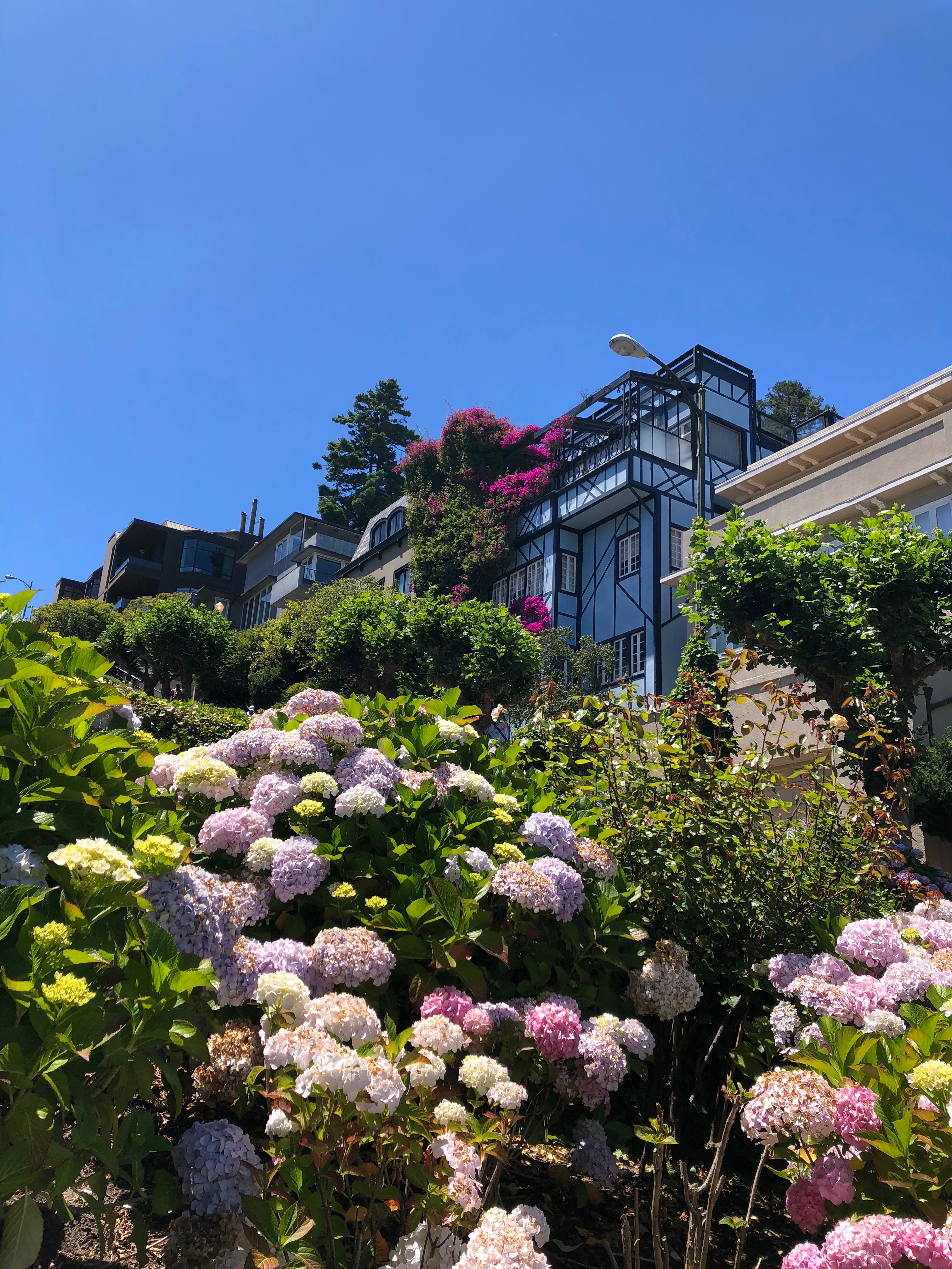 Must Do in SF: Visit Lombard Street and Walk by Foot_The Most Crooked Street in the World