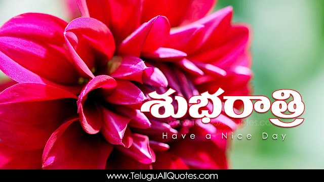Best Telugu Good Night Images HD Wallpapers Top Good Night Greetings in Telugu Whatsapp Messages Pictures Online Good Night Telugu Quotes Free Download