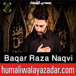 https://aliwalayazadar.blogspot.com/2020/08/baqar-raza-naqvi-nohay-2021.html