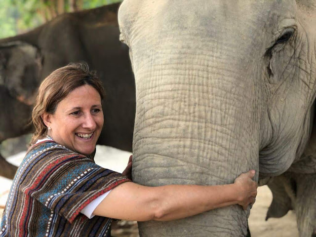 Elephant Jungle Sanctuary - Chiang Mai