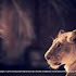 HIPA takes talented photographers on Wildlife photography adventure 