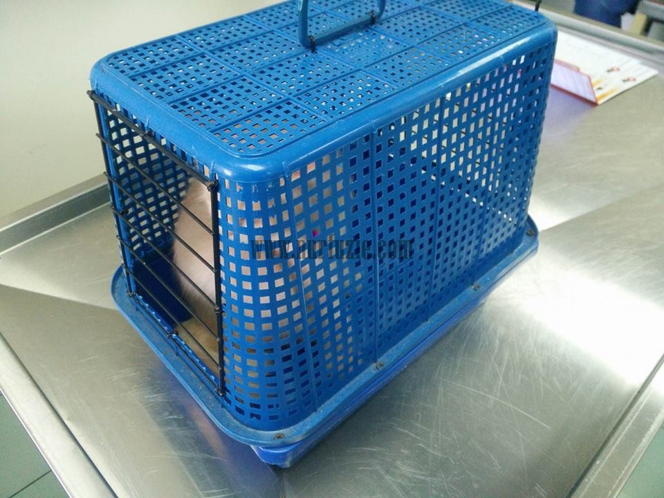 DIY Sangkar Kucing Ke Klinik - Nurfuzie.com