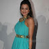 Amisha Patel Hot in Short Dress