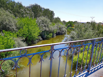 Vistas del río Jarama desde el puente de Arganda