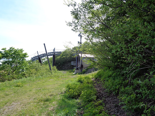 大山国際スキー場