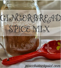 Gingerbread Spice Mix