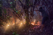 Lahan Terbakar di Sibolga, Polisi Melakukan Selidiki Penyebabnya