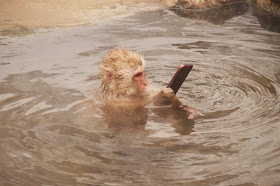 Funny animals of the week - 7 February 2014 (40 pics), monkey holds a phone while submerging in water