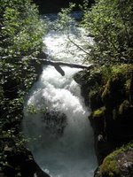 Waterfall at Winner Creek