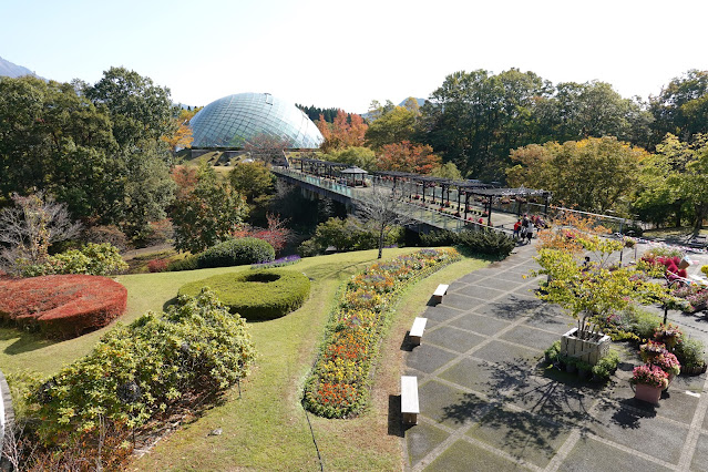 鳥取県西伯郡南部町鶴田　とっとり花回廊　秋のプロムナード橋の風景