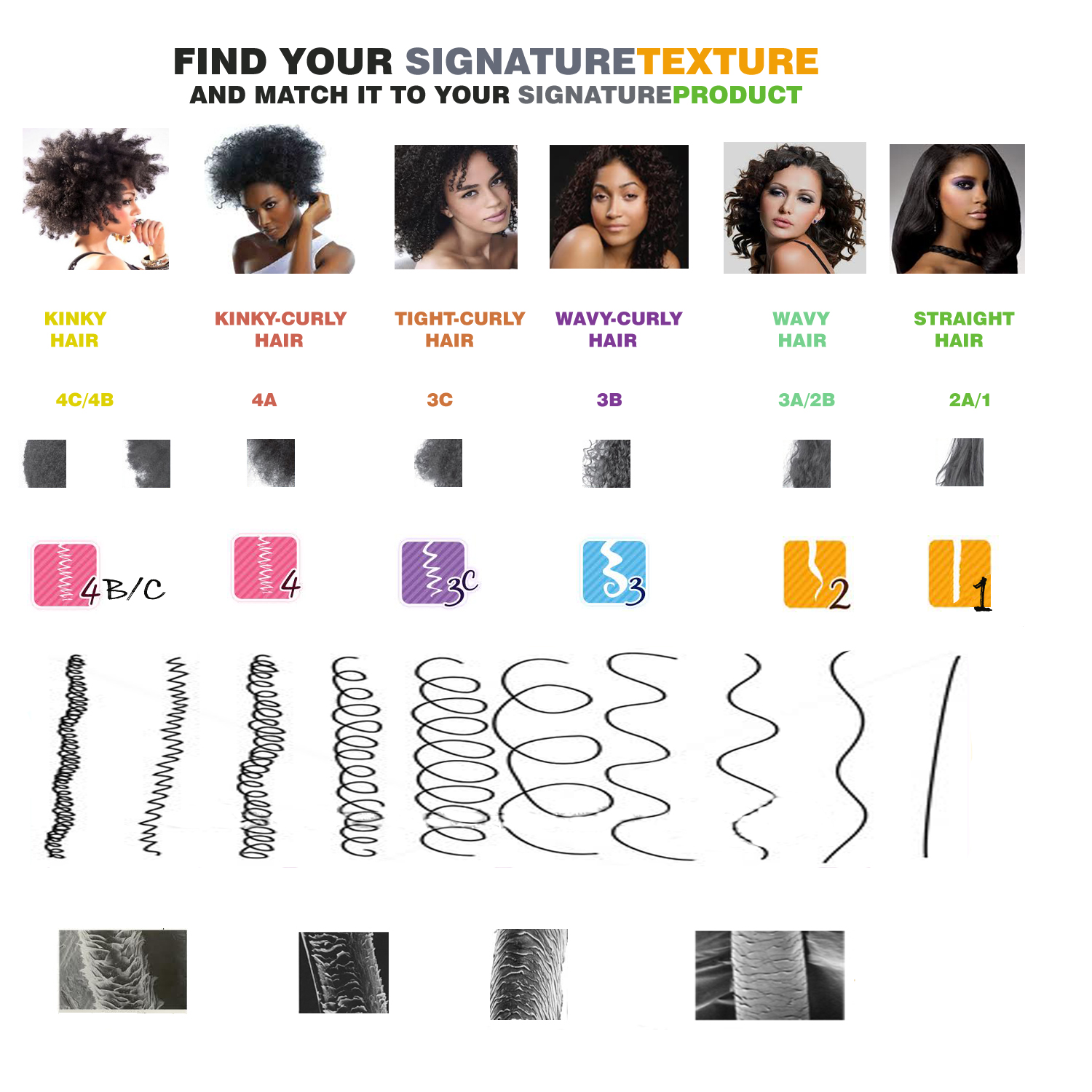 All About Healthy Hair: Understanding what hair is composed of....