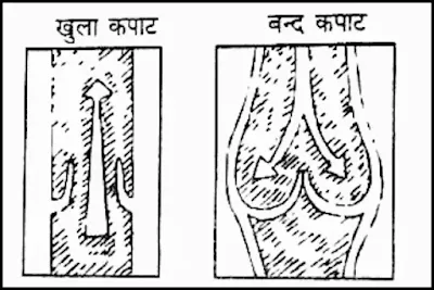 कपाटों की रचना