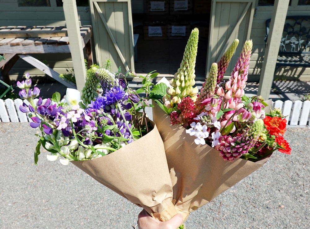Moya S Workshop 六月的夏季花束