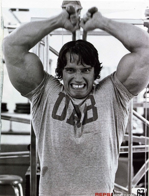 arnold schwarzenegger wallpaper bodybuilding. arnold schwarzenegger