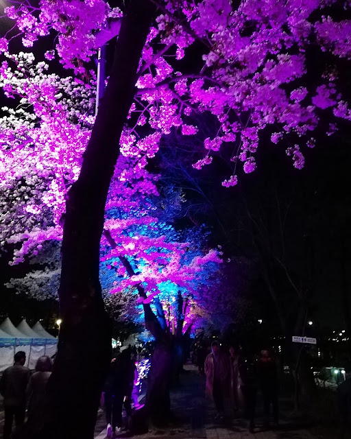 Yeouido in the evening