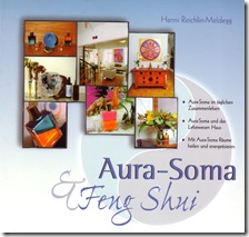 feng shui book