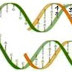 Soal Biologi Tentang Genetika