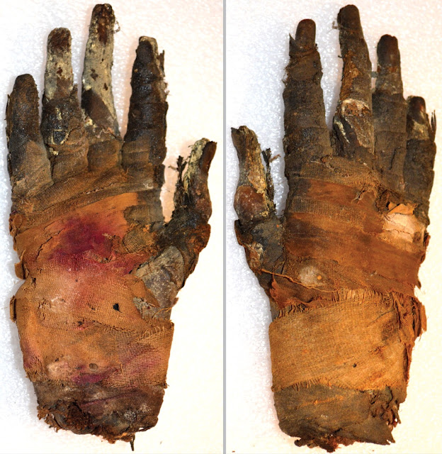 CT technique expands possibilities of imaging ancient remains