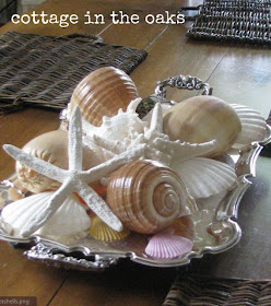 Decorating with Seashells, Ideas and Tips, cottage in the oaks