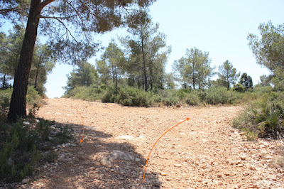 SANT JAUME DELS DOMENYS-PUIG DE LA TIULA, camí de la Plana a les terres planes del Gatell