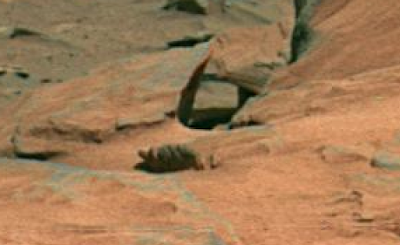 Life On Mars Found 1