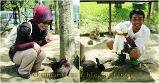 Colmar Tropicale Bukit Tinggi