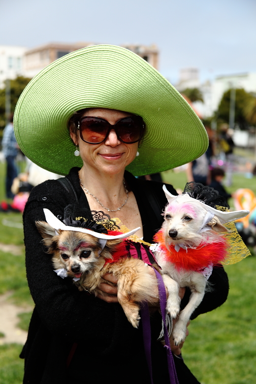 Doggie Style: The Whole Enchihuahua... Dolores Park