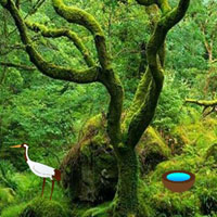 WOW Enchanted Mossy Green Forest Escape
