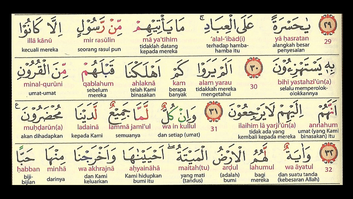 Bantu Aku Untuk Dekat Kepada Islam: Surah Yasin Dalam Rumi