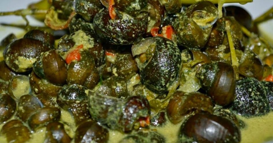 Cara Membuat Masakan Koteng (Siput Sawah)  SEHAT DAN CANTIK